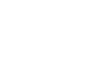 Logo-IN-white